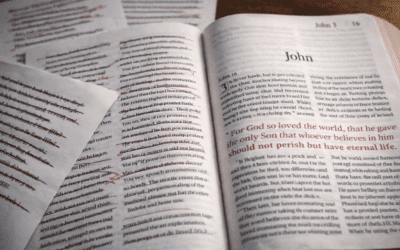 Roots Matter More Than Rules